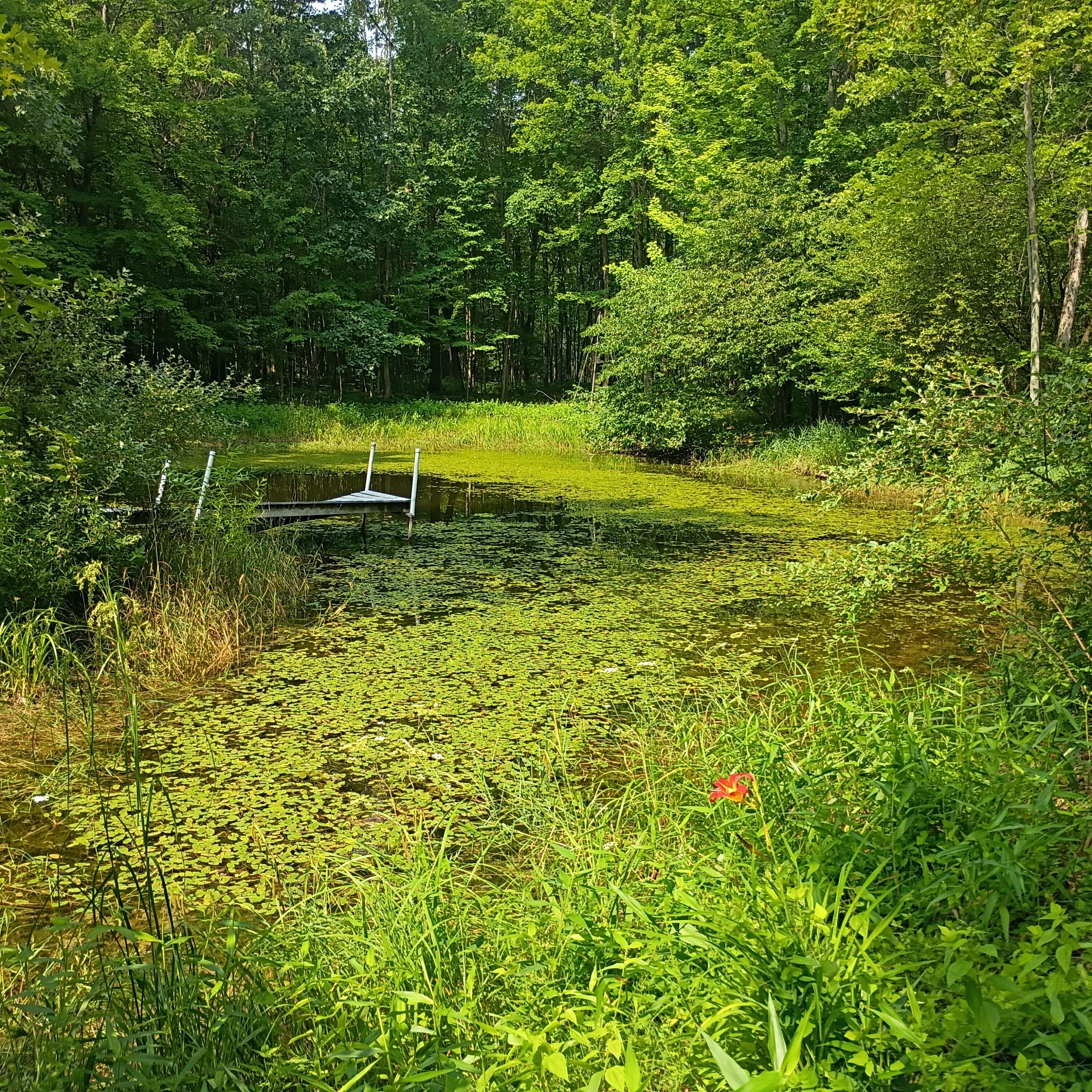 8045 West 16 Mile Road Bitely, MI 49309 - Photo 24 of 38 1000002179