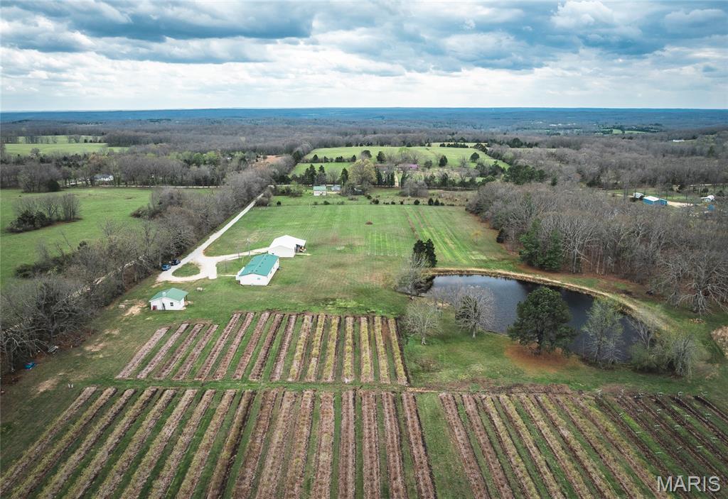 552 Lick Creek Road Leasburg, MO 65535 - Photo 1 of 62