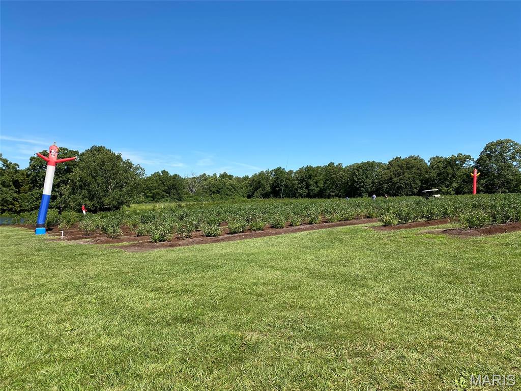 552 Lick Creek Road Leasburg, MO 65535 - Photo 17 of 62