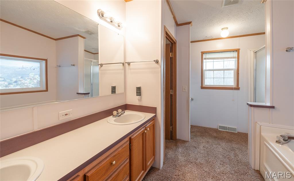 552 Lick Creek Road Leasburg, MO 65535 - Photo 45 of 62