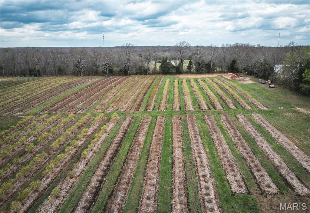 552 Lick Creek Road Leasburg, MO 65535 - Photo 61 of 62