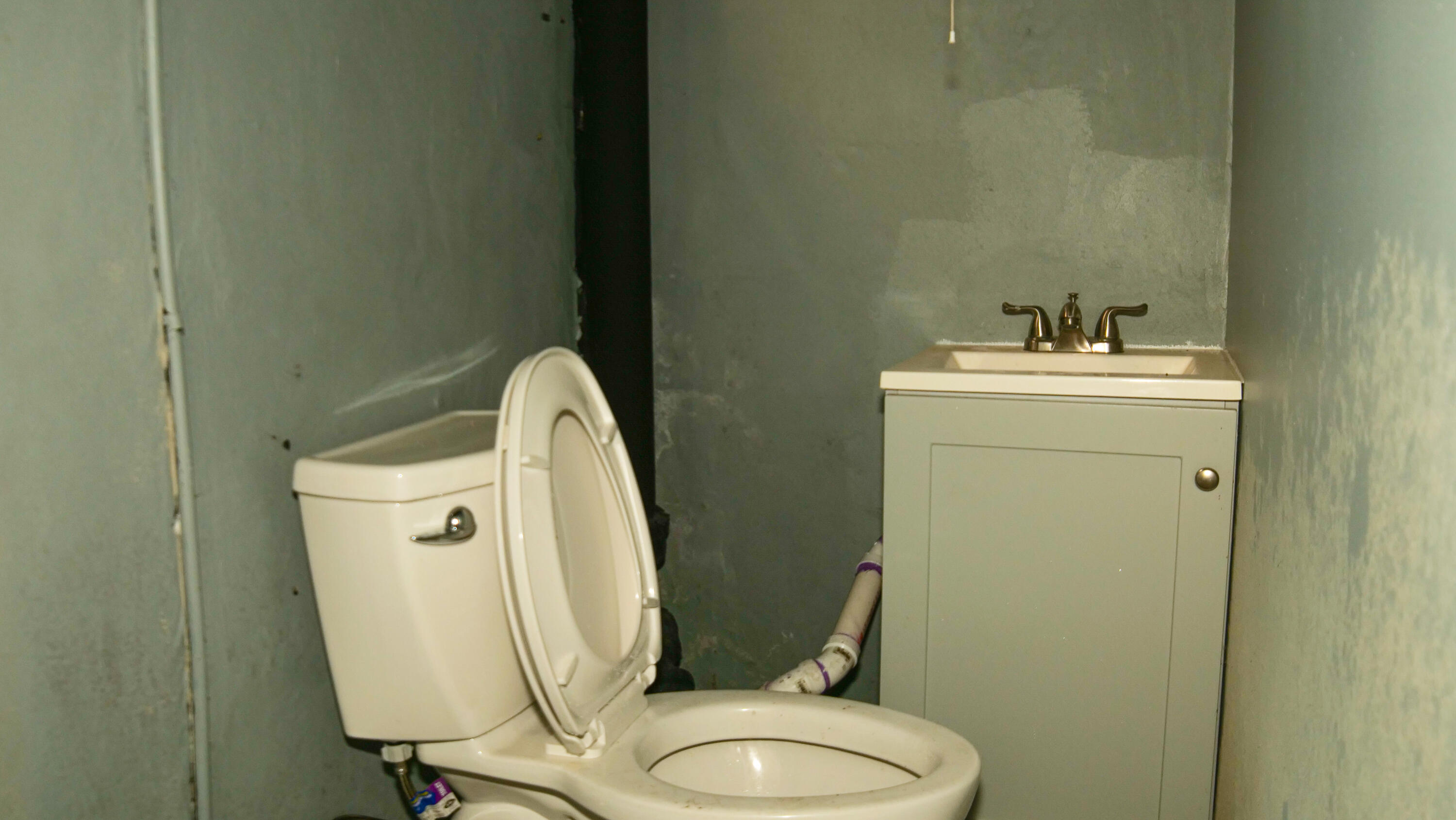 15217 Carlisle Street Detroit, MI 48205 - Photo 21 of 29 P1214371