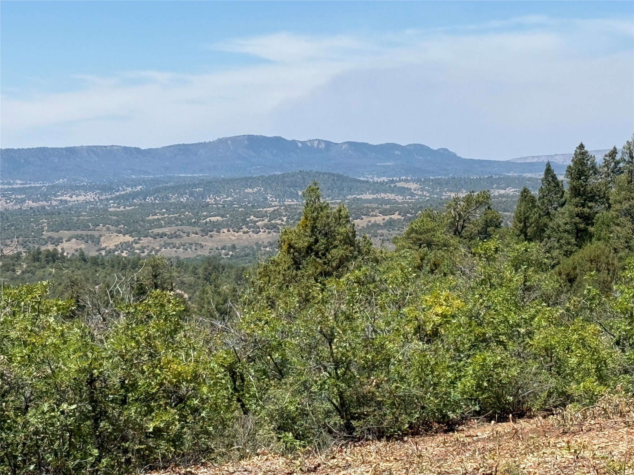 381 Buckman Road Chama, NM 87520 - Photo 15 of 23