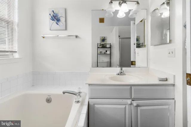 a bathroom with a bathtub a sink and a mirror