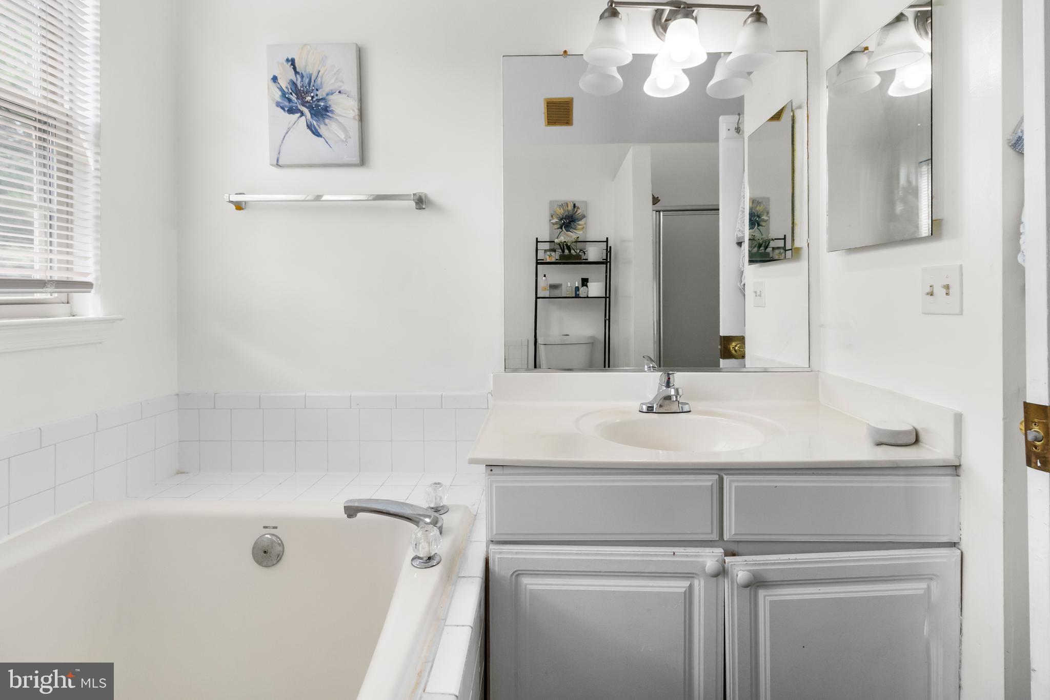 13 Bank Spring Court Owings Mills, MD 21117 - Photo 36 of 50 a bathroom with a bathtub a sink and a mirror