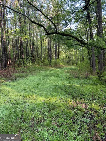 a view of outdoor space with green field and trees