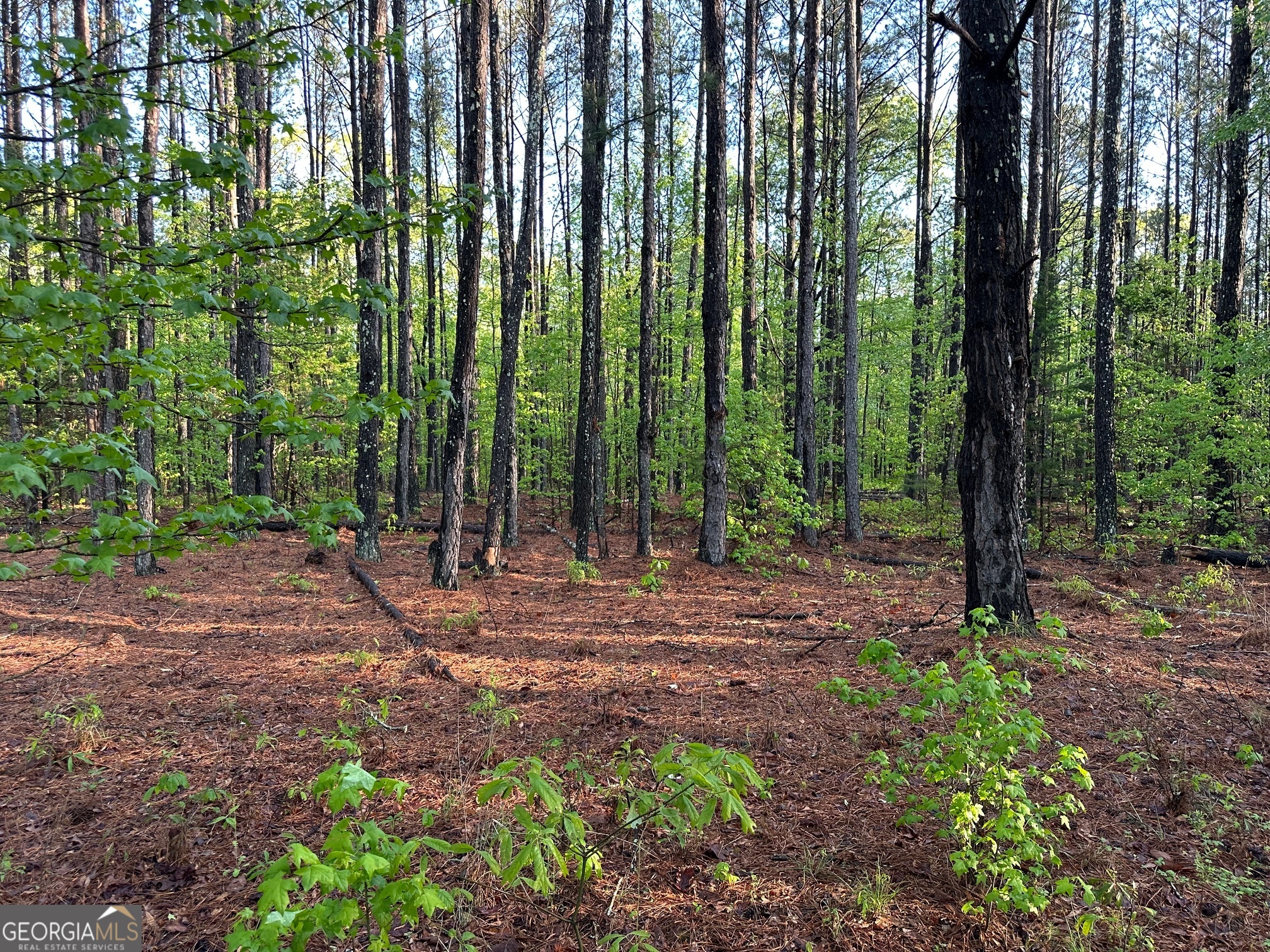 1433 Cleveland Farm Road Locust Grove, GA 30248 - Photo 3 of 4 a view of outdoor space with lots of trees