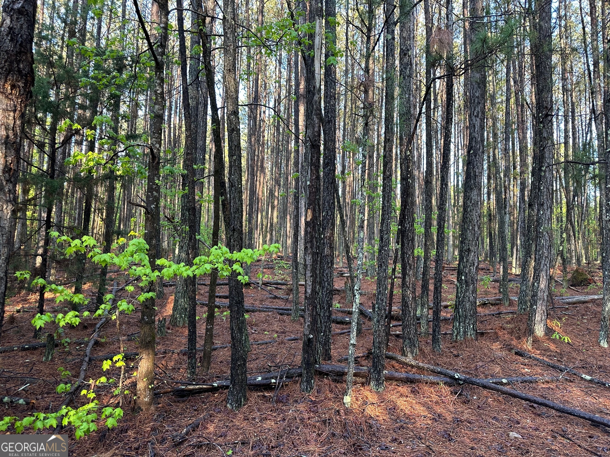 1433 Cleveland Farm Road Locust Grove, GA 30248 - Photo 4 of 4 a view of a backyard with potted plants
