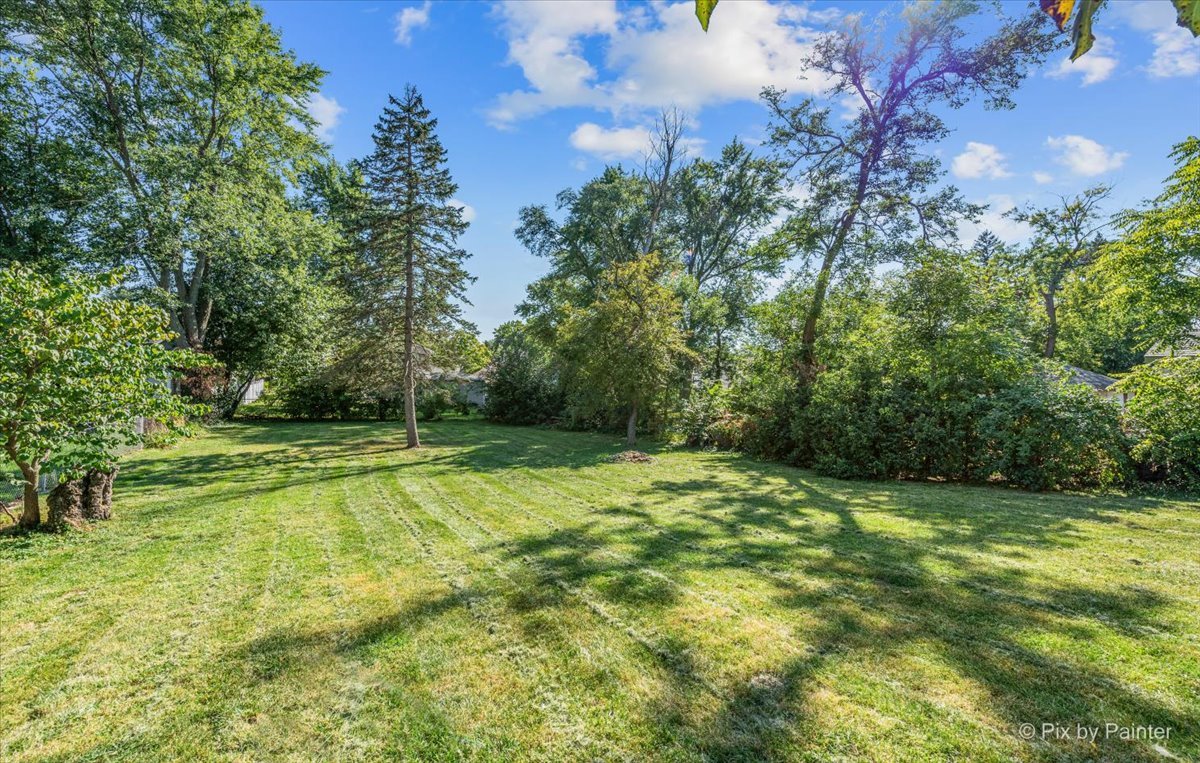 229 West Harding Road Lombard, IL 60148 - Photo 29 of 29 a view of a big yard with large trees