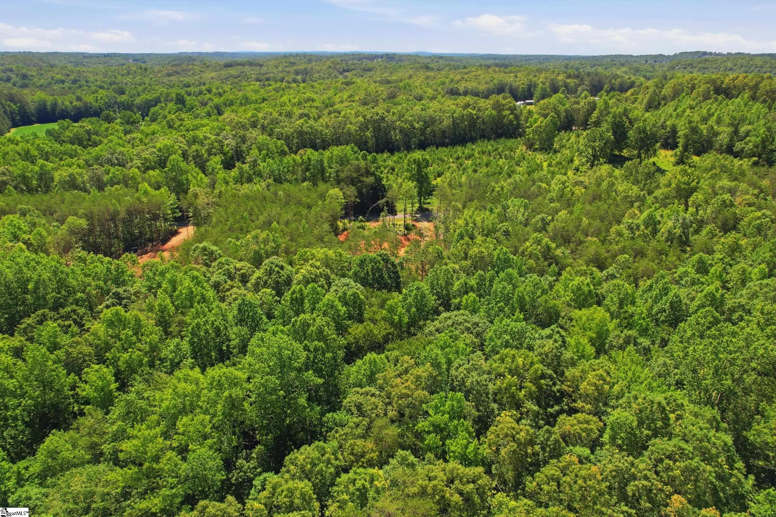 129 Tugaloo Road Landrum, SC 29356 - Photo 19 of 34