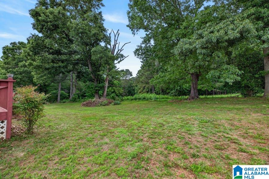 15 Fast Lane Ranburne, AL 36273 - Photo 13 of 51