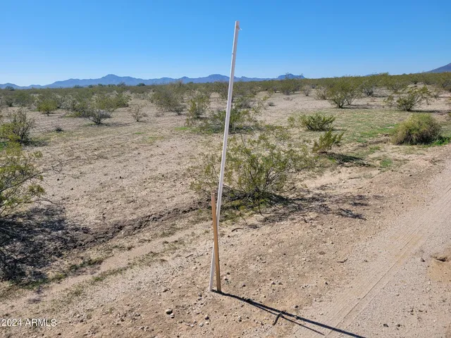 a view of a dry yard with trees in the background