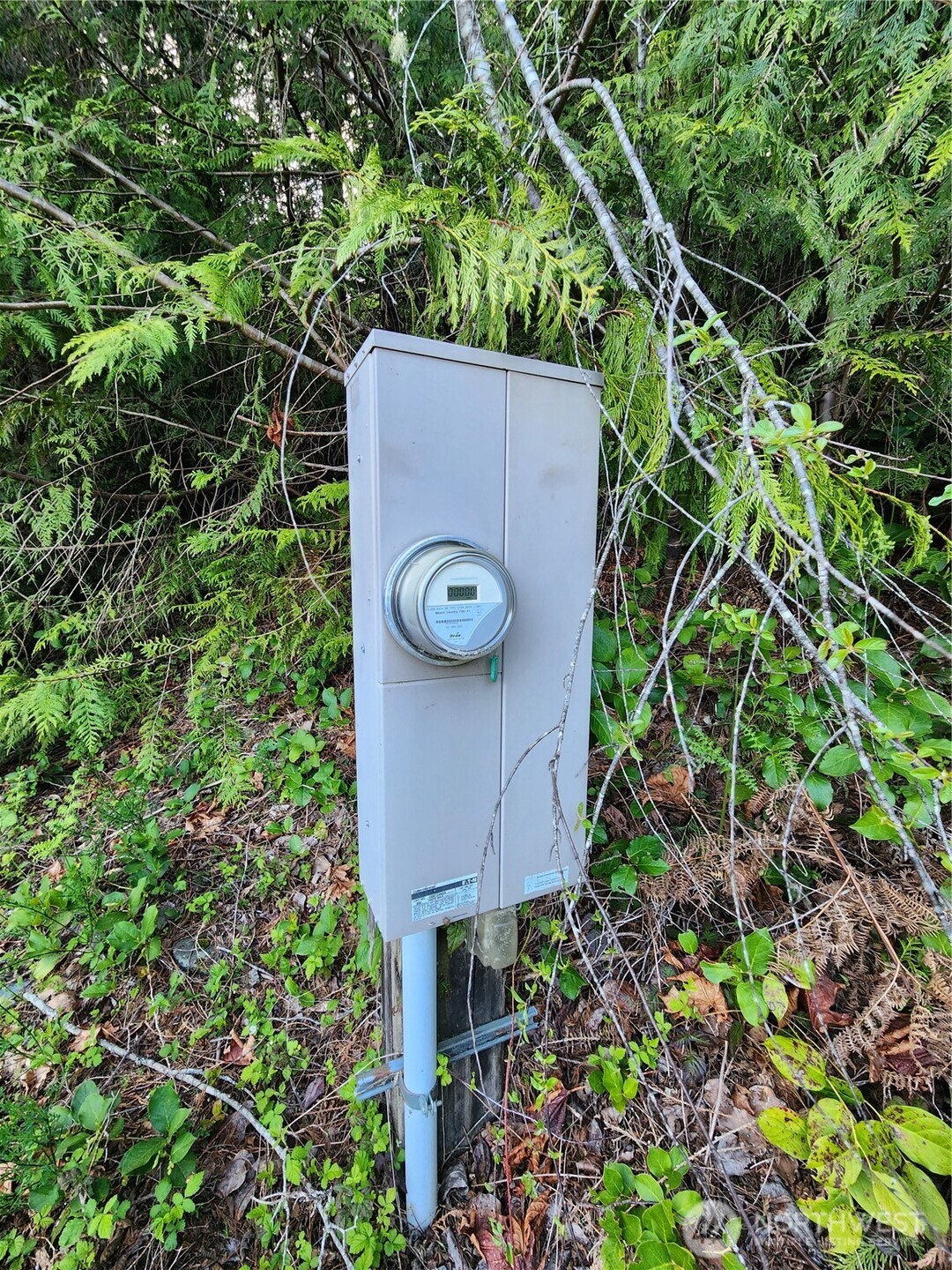 992 Sunrise Road Brinnon, WA 98320 - Photo 12 of 15 unknown