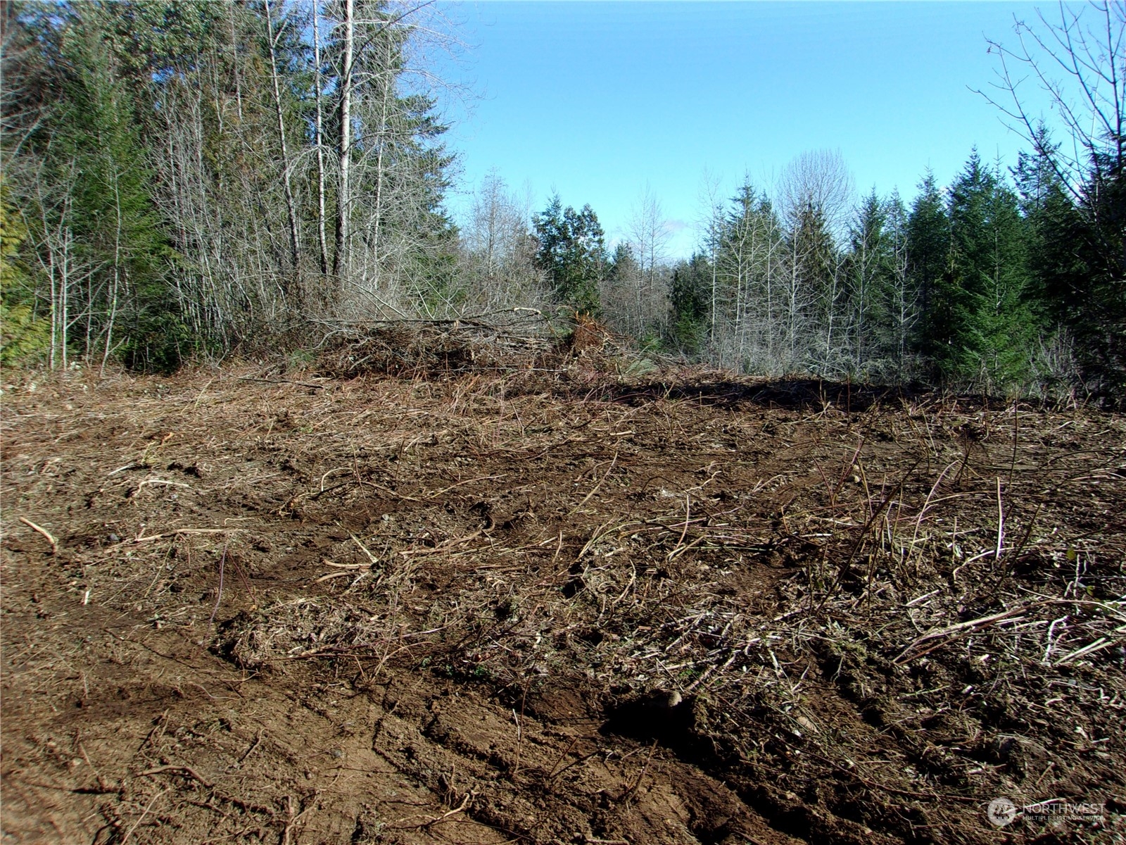 992 Sunrise Road Brinnon, WA 98320 - Photo 13 of 15 a view of a large yard with lots of green space