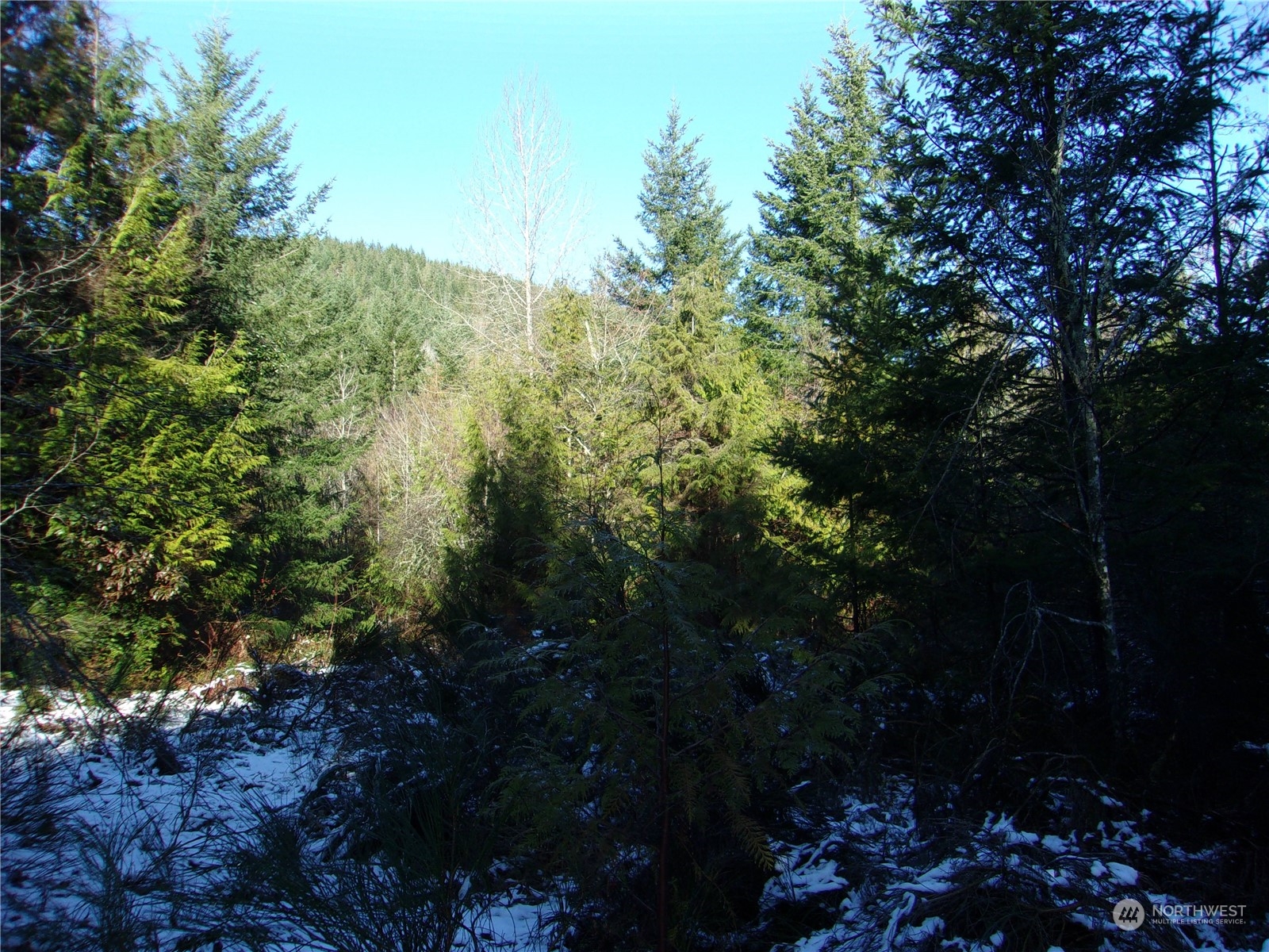 992 Sunrise Road Brinnon, WA 98320 - Photo 14 of 15 a view of a house with a tree