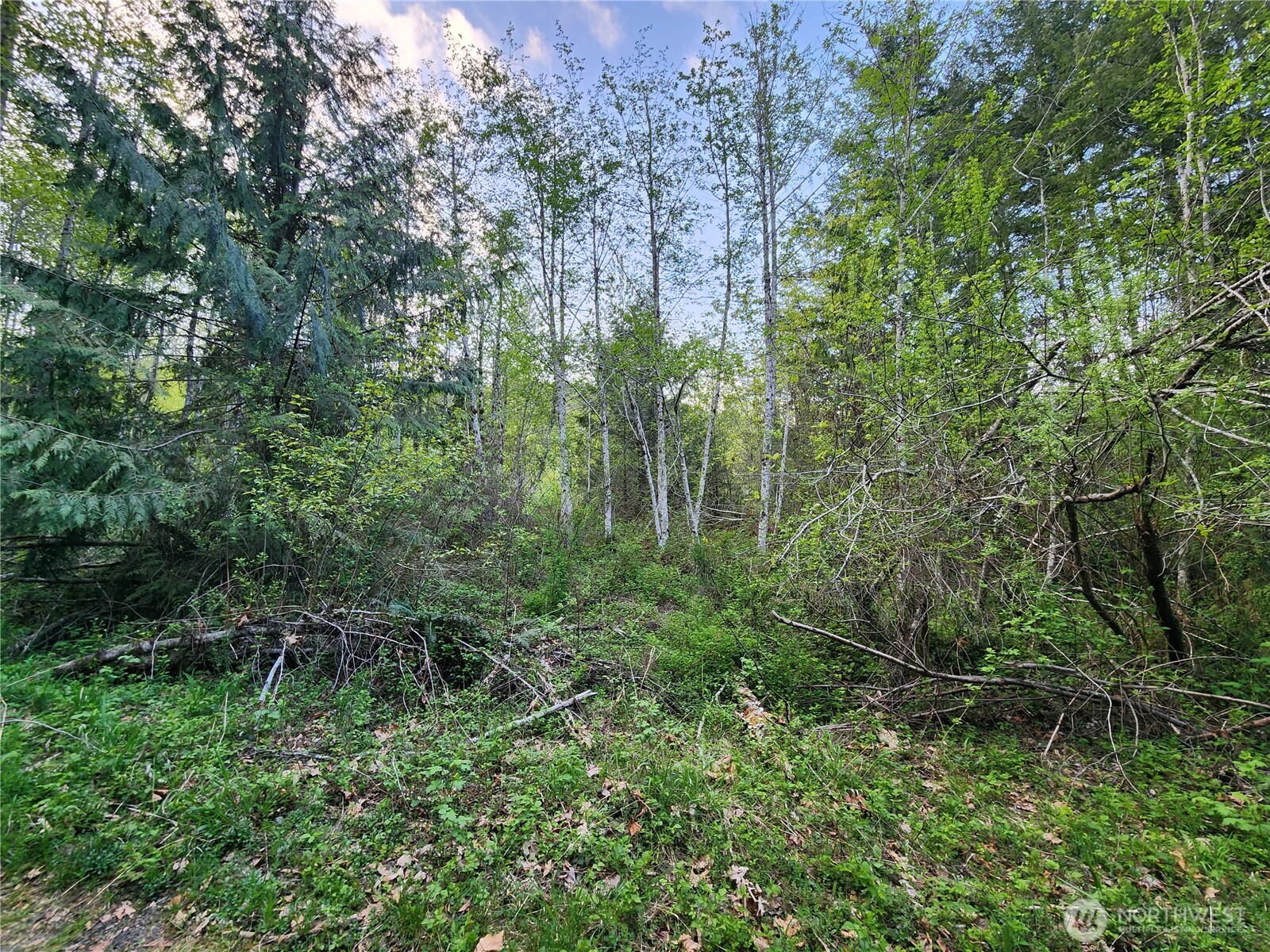 992 Sunrise Road Brinnon, WA 98320 - Photo 6 of 15 a view of outdoor space and green space