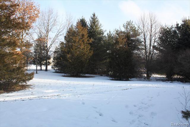 3158 Shehan Road Pinckney, MI 48169 - Photo 17 of 20 IMG_0716