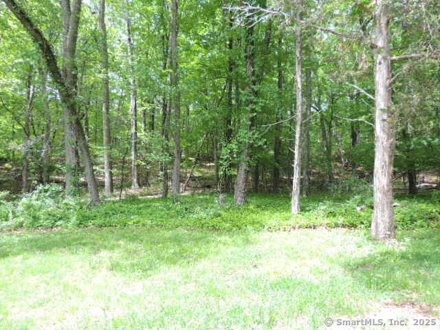 25 Highway 79 Killingworth, CT 06419 - Photo 4 of 30