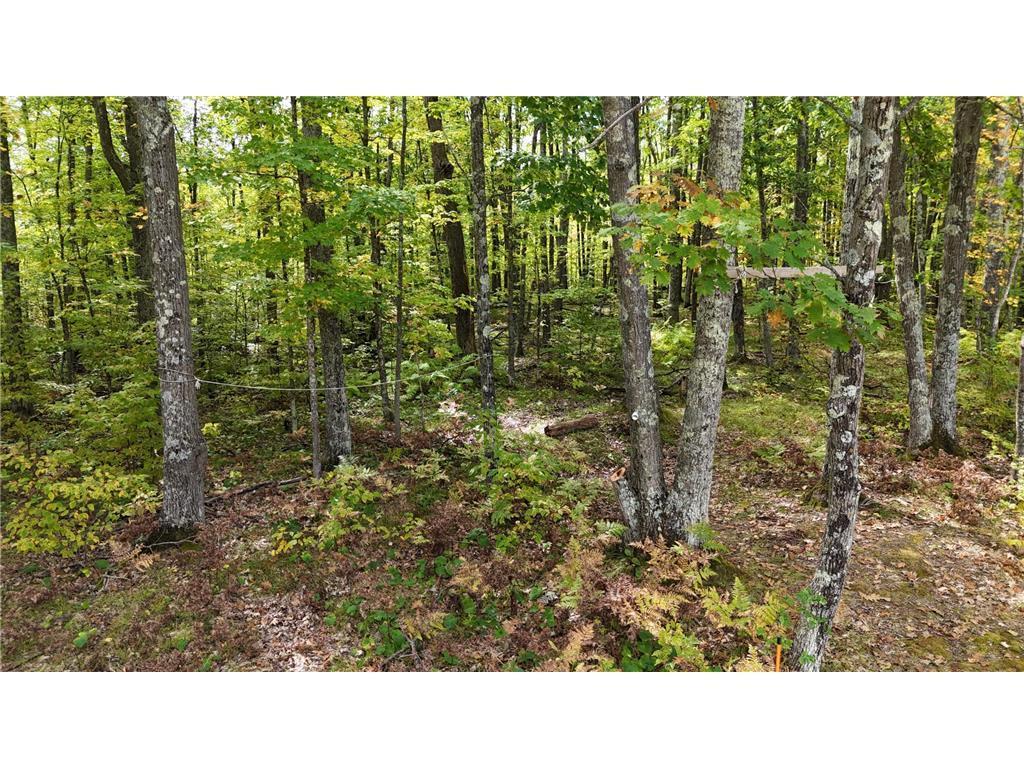 57919 Hay Creek Road Sandstone, MN 55072 - Photo 45 of 48