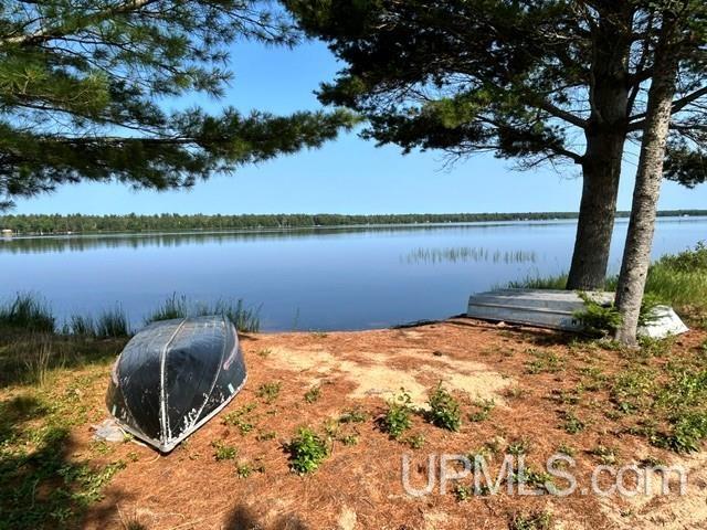 Lot 62 Little Rice Lake Road Lake Linden, MI 49945 - Photo 3 of 52 Gallery Image 3