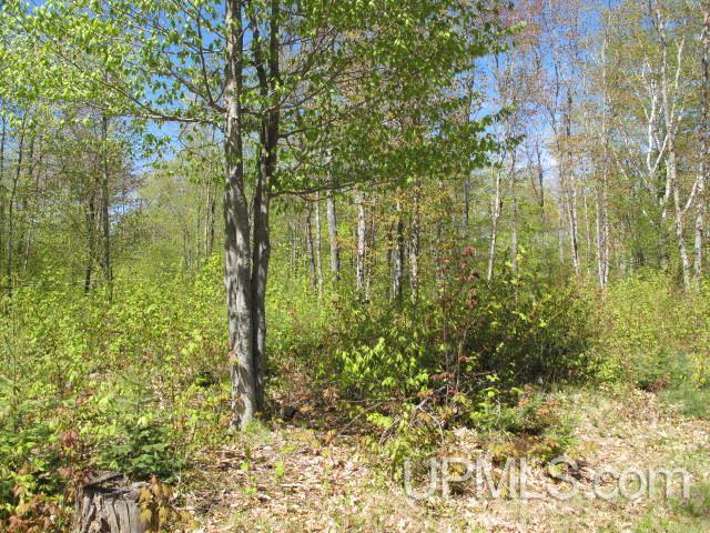 14124 Cemetery Road Grand Marais, MI 49839 - Photo 23 of 30 Gallery Image 23