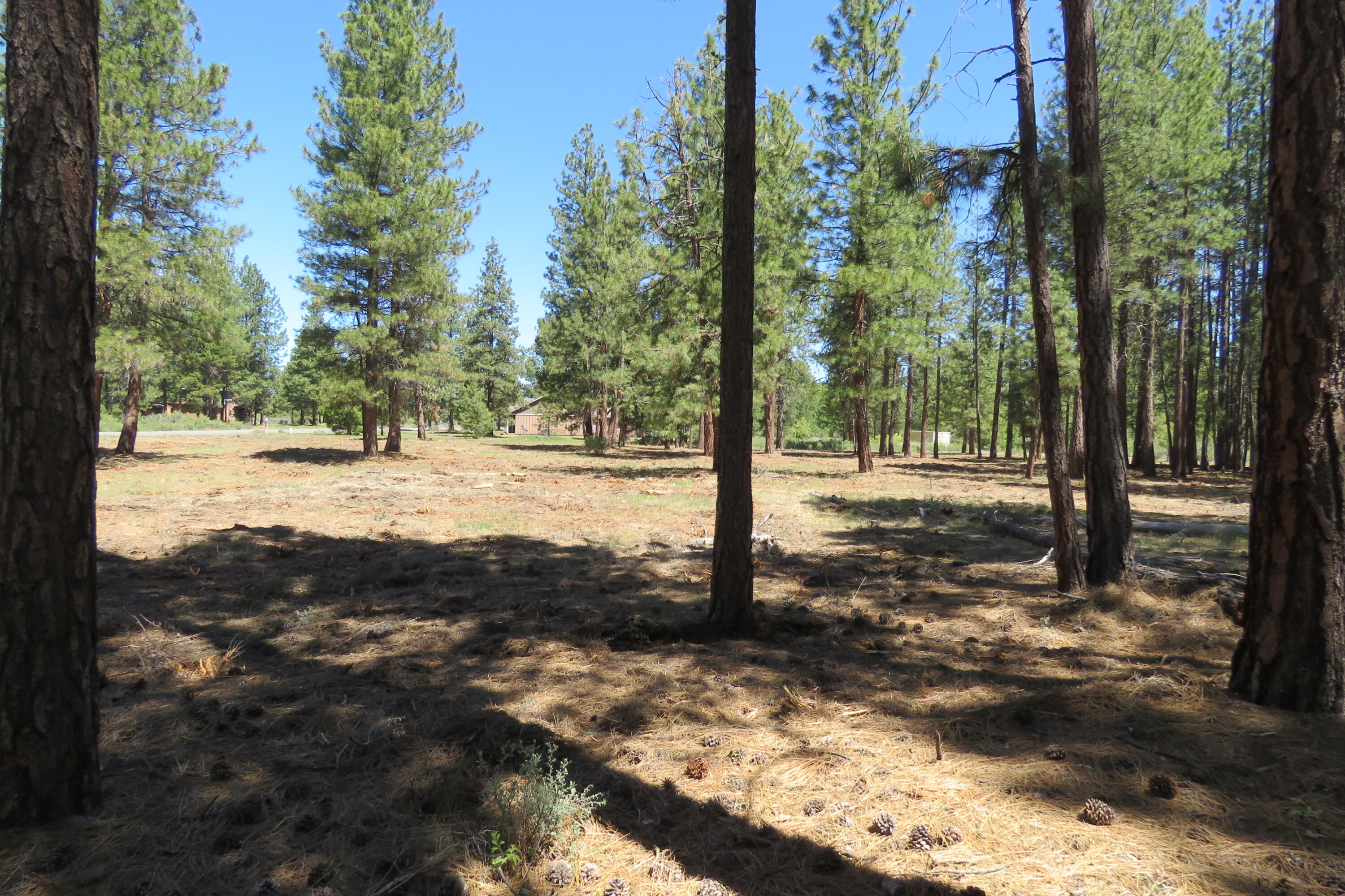 7 Castle Drive Chiloquin, OR 97624 - Photo 26 of 26 IMG_4618