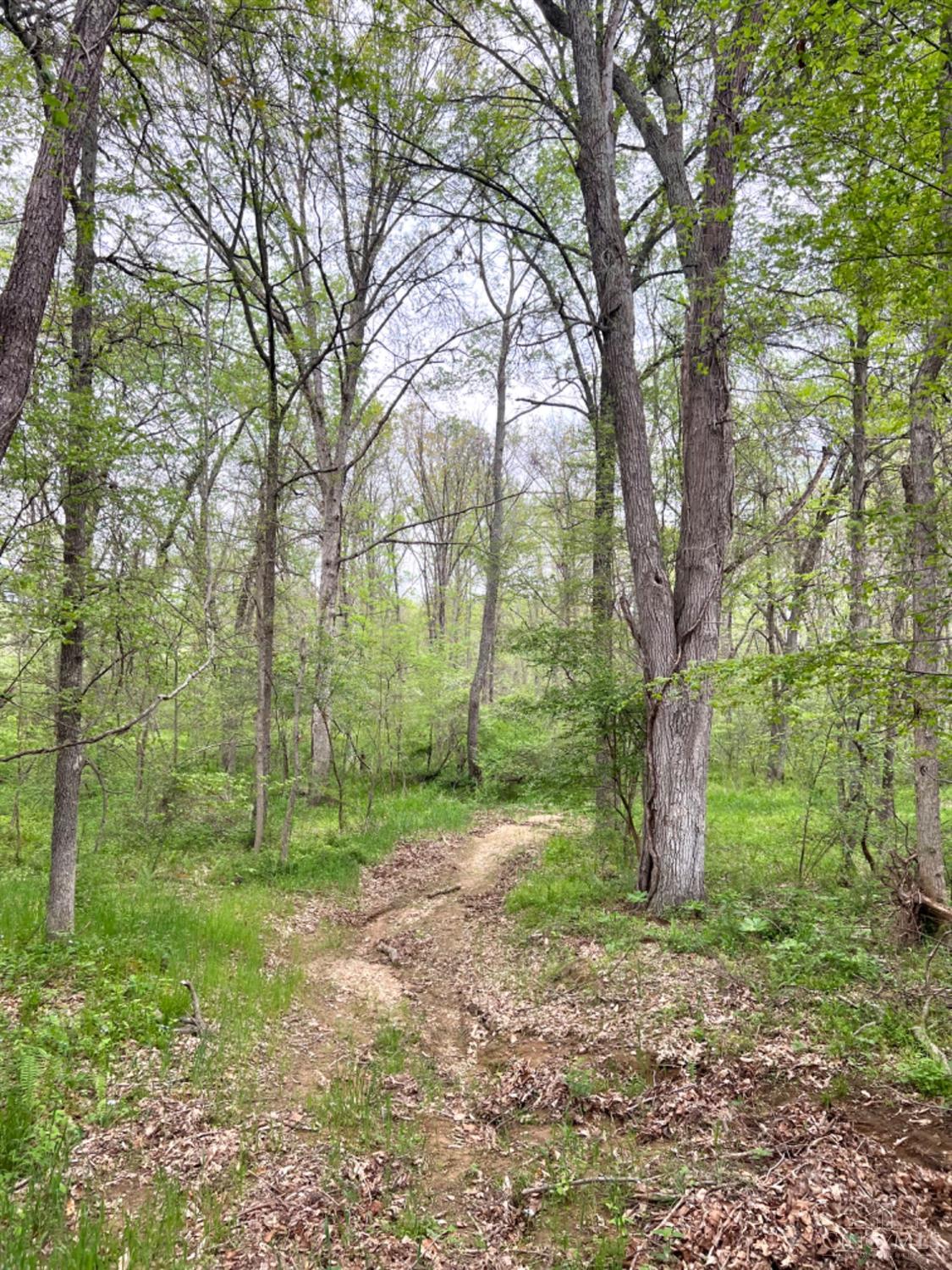 0 Spohn Road Jackson, OH 45640 - Photo 64 of 76