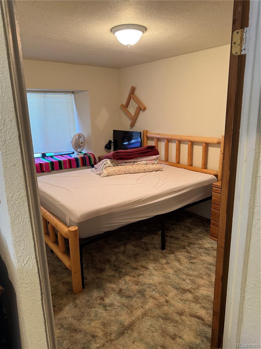 29885 County Road Villa Grove, CO 81155 - Photo 11 of 15