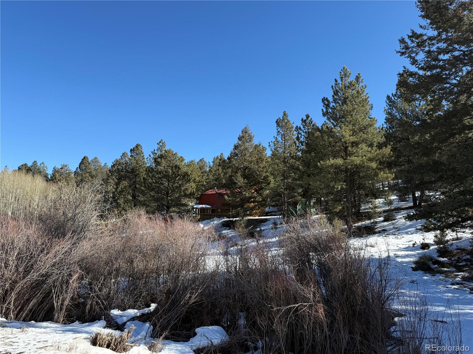 29885 County Road Villa Grove, CO 81155 - Photo 2 of 15