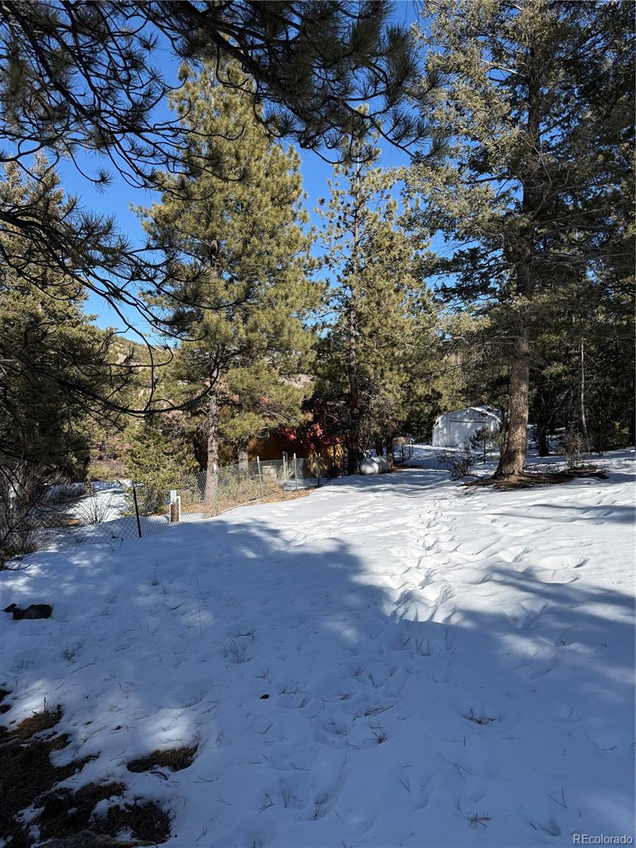 29885 County Road Villa Grove, CO 81155 - Photo 5 of 15