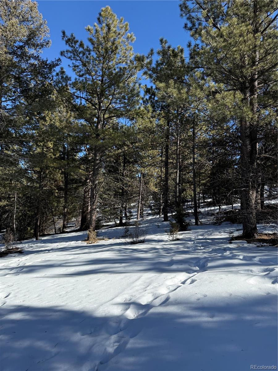 29885 County Road Villa Grove, CO 81155 - Photo 6 of 15