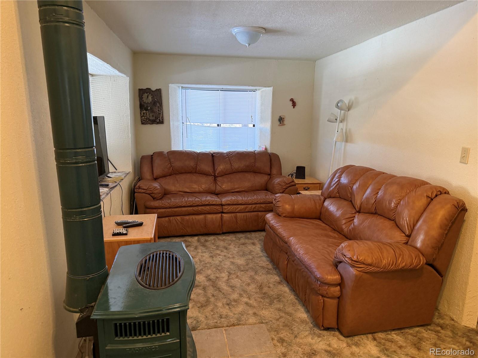 29885 County Road Villa Grove, CO 81155 - Photo 9 of 15