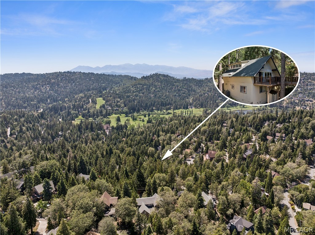 111 Grizzly Road Lake Arrowhead, CA 92352 - Photo 56 of 57