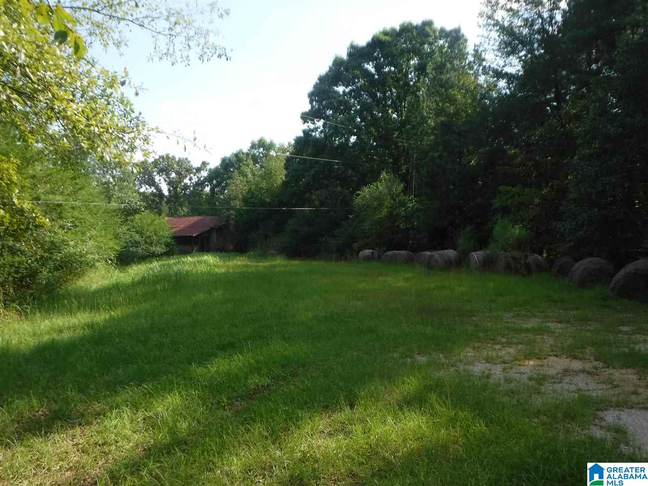 205 Venable Road Odenville, AL 35120 - Photo 7 of 11