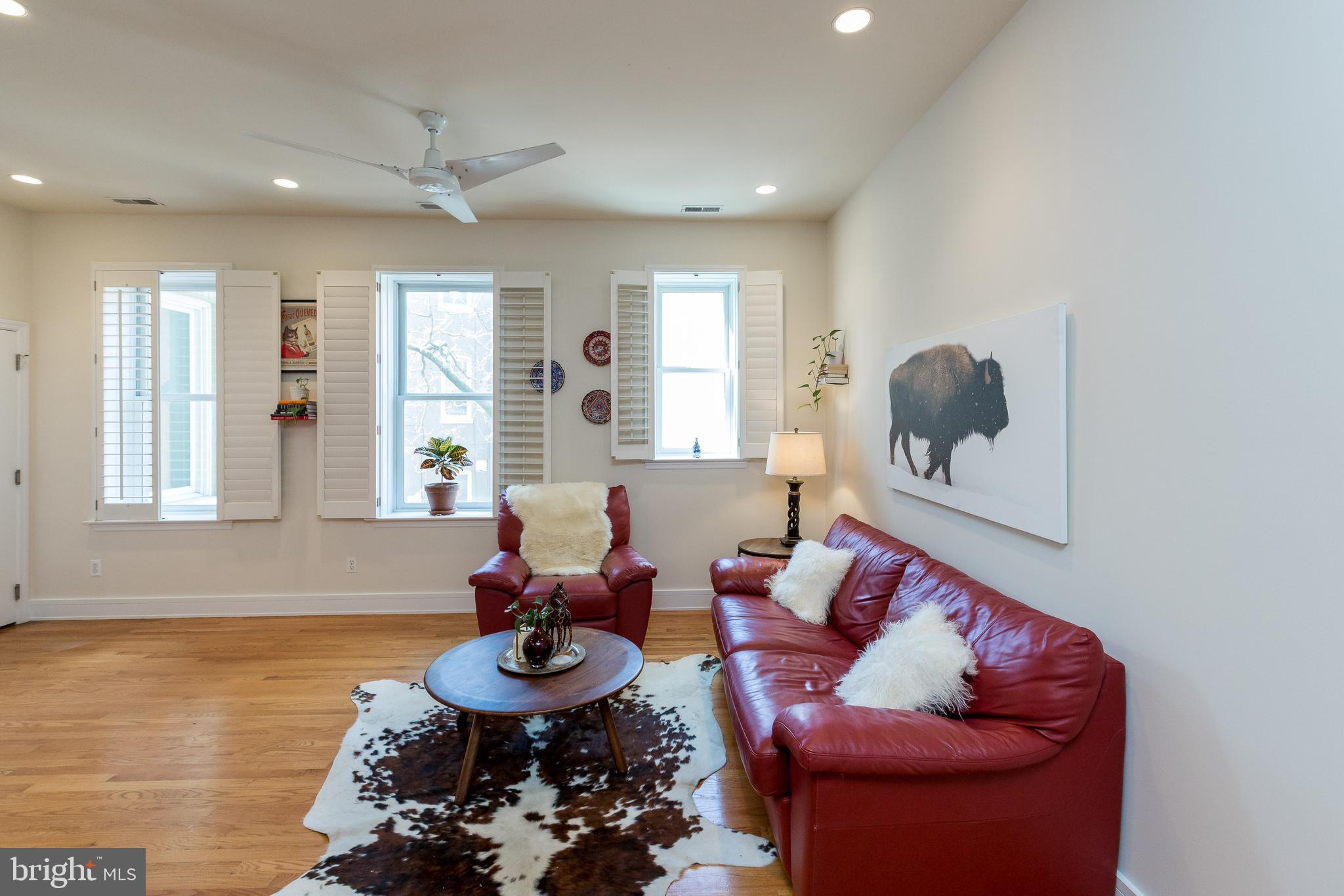Bright and spacious living room