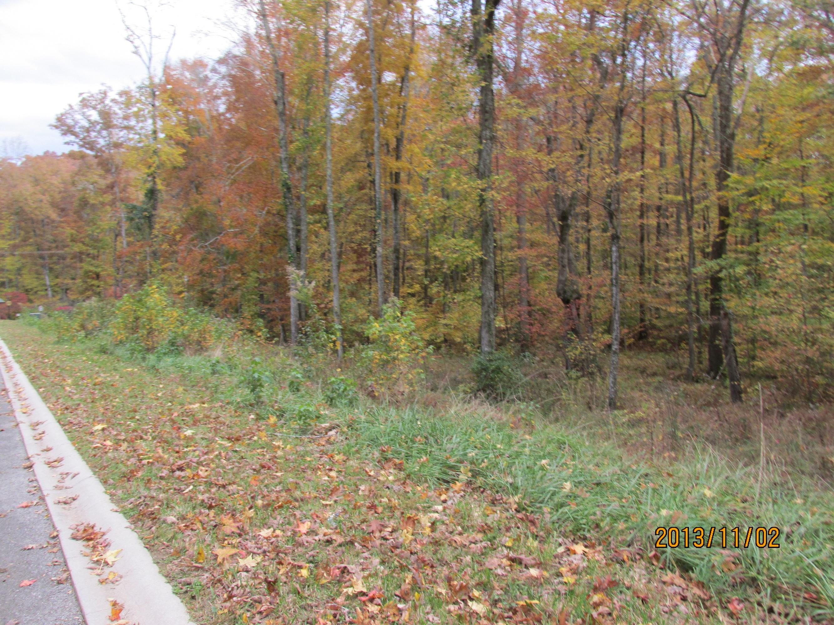 Lot 13 Eagle Ridge Road Rockwood, TN 37854 - Photo 1 of 12 IMG_0521