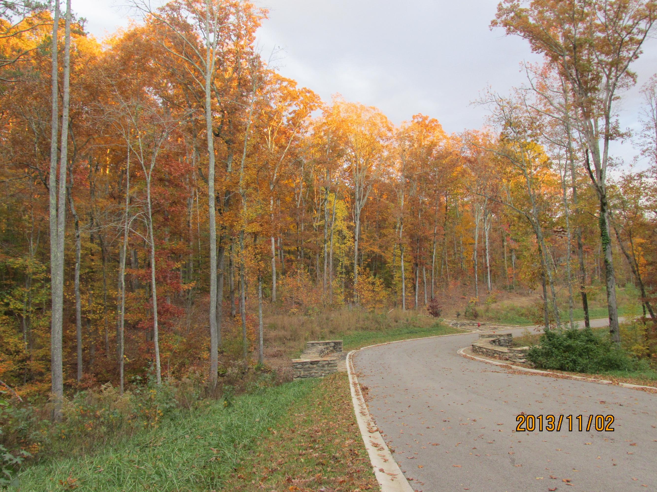 Lot 13 Eagle Ridge Road Rockwood, TN 37854 - Photo 11 of 12 IMG_0531