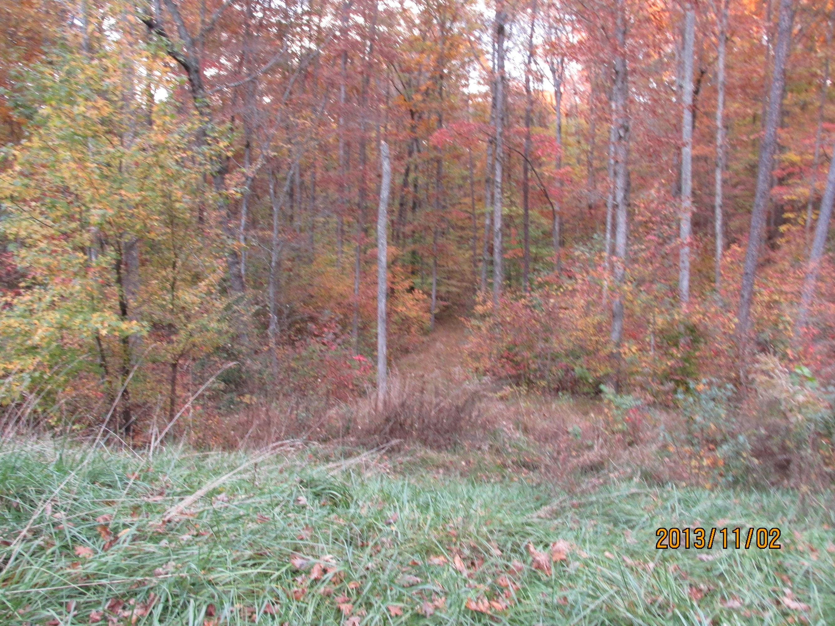 Lot 13 Eagle Ridge Road Rockwood, TN 37854 - Photo 12 of 12 IMG_0532