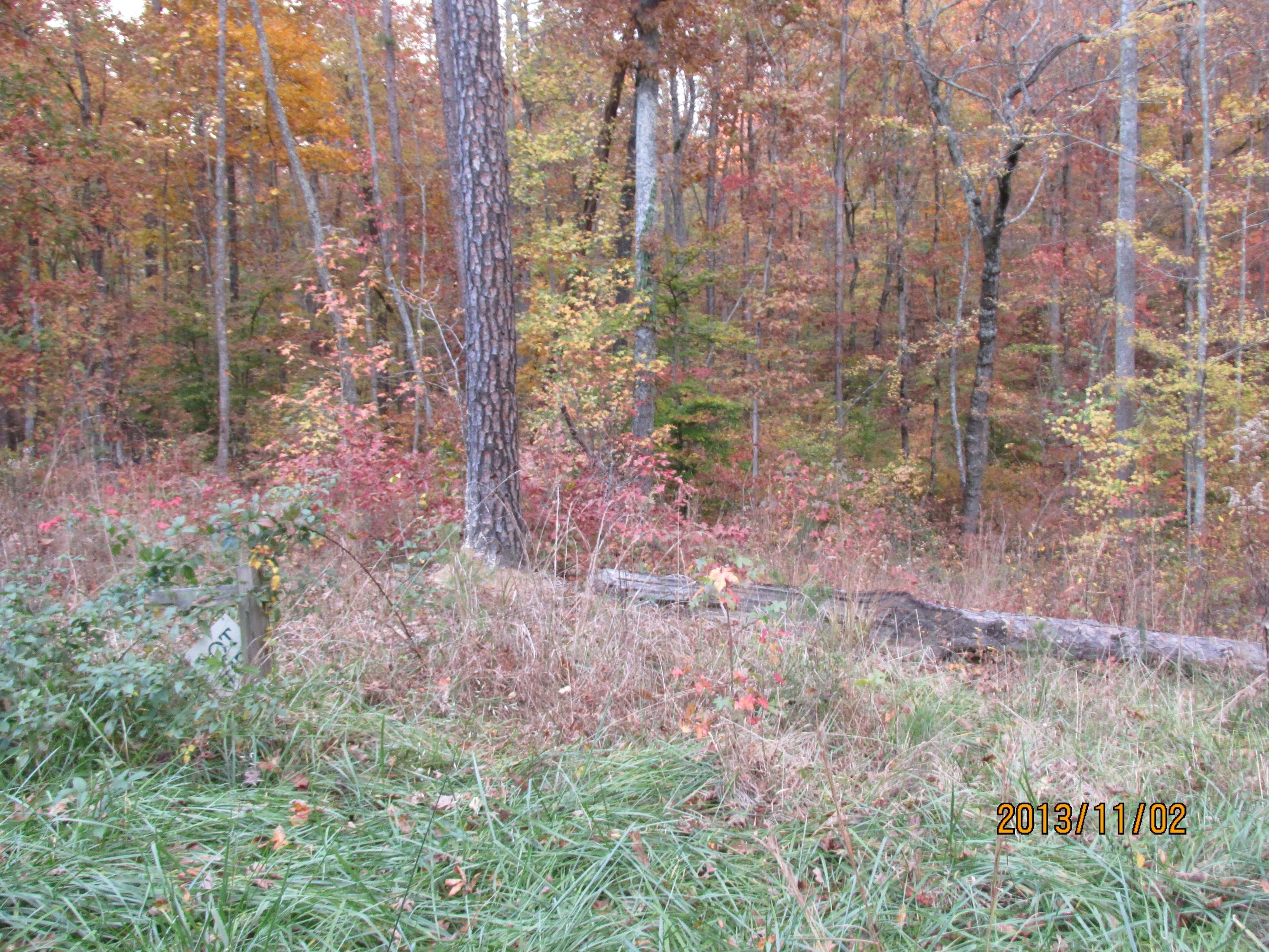 Lot 13 Eagle Ridge Road Rockwood, TN 37854 - Photo 3 of 12 IMG_0534
