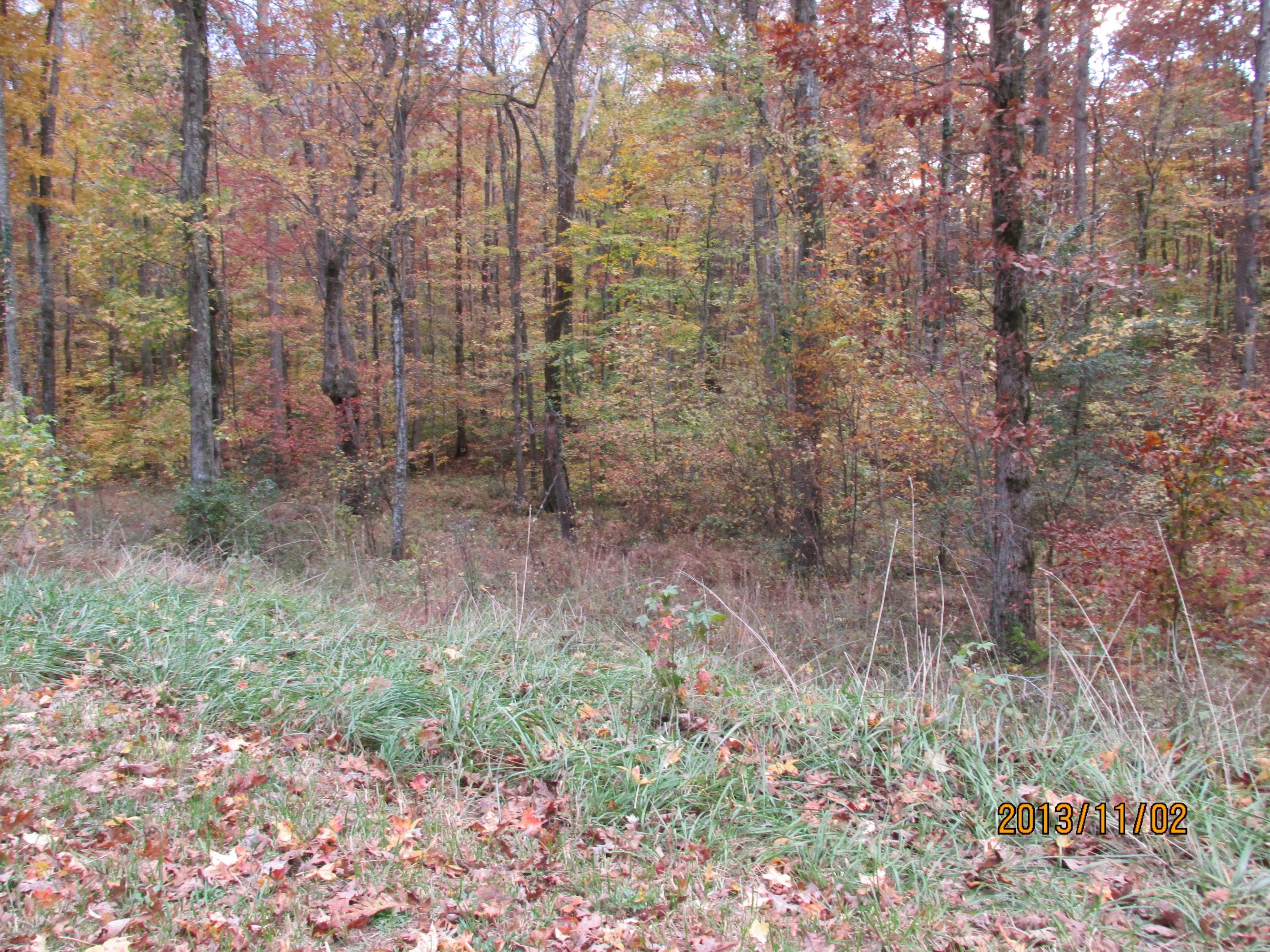 Lot 13 Eagle Ridge Road Rockwood, TN 37854 - Photo 4 of 12 IMG_0520