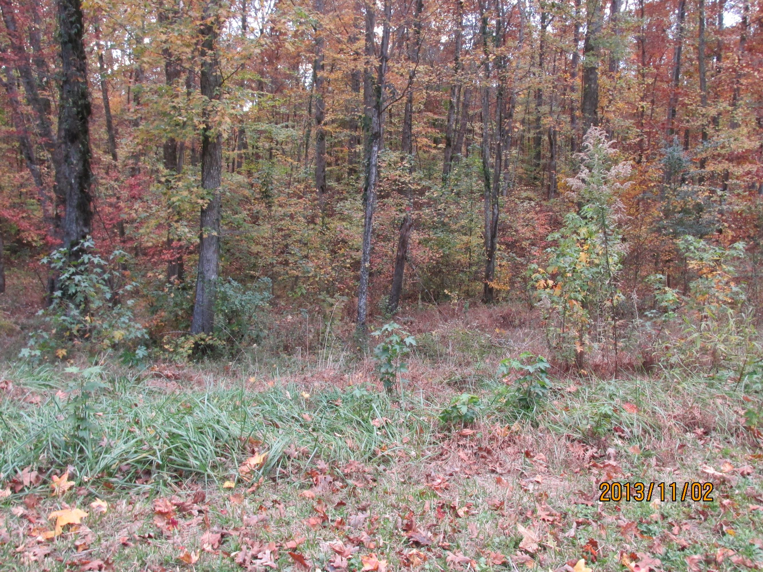 Lot 13 Eagle Ridge Road Rockwood, TN 37854 - Photo 5 of 12 IMG_0522