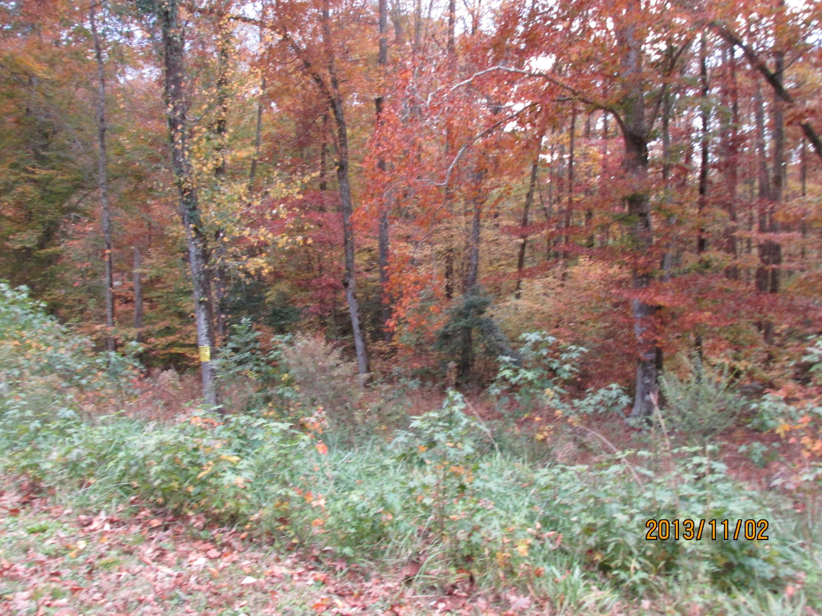 Lot 13 Eagle Ridge Road Rockwood, TN 37854 - Photo 8 of 12 IMG_0525