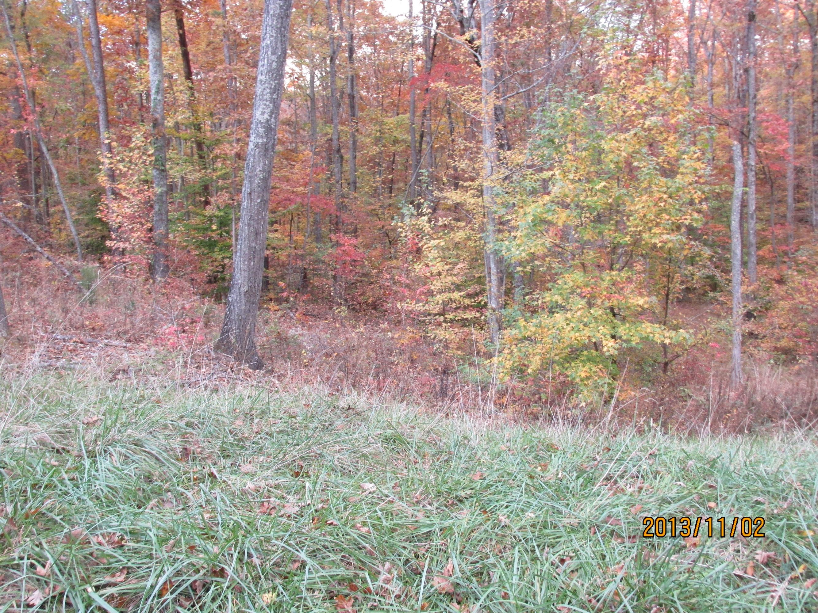 Lot 13 Eagle Ridge Road Rockwood, TN 37854 - Photo 10 of 12 IMG_0529
