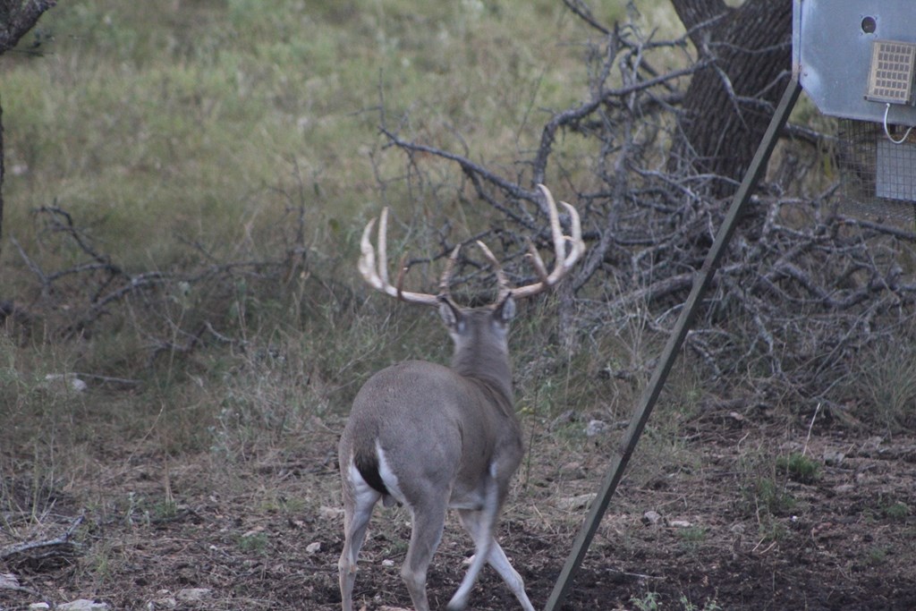 17 Blackjack Ranch Road, Unit 17 Harper, TX 78631 - Photo 9 of 9 Gallery Image 9