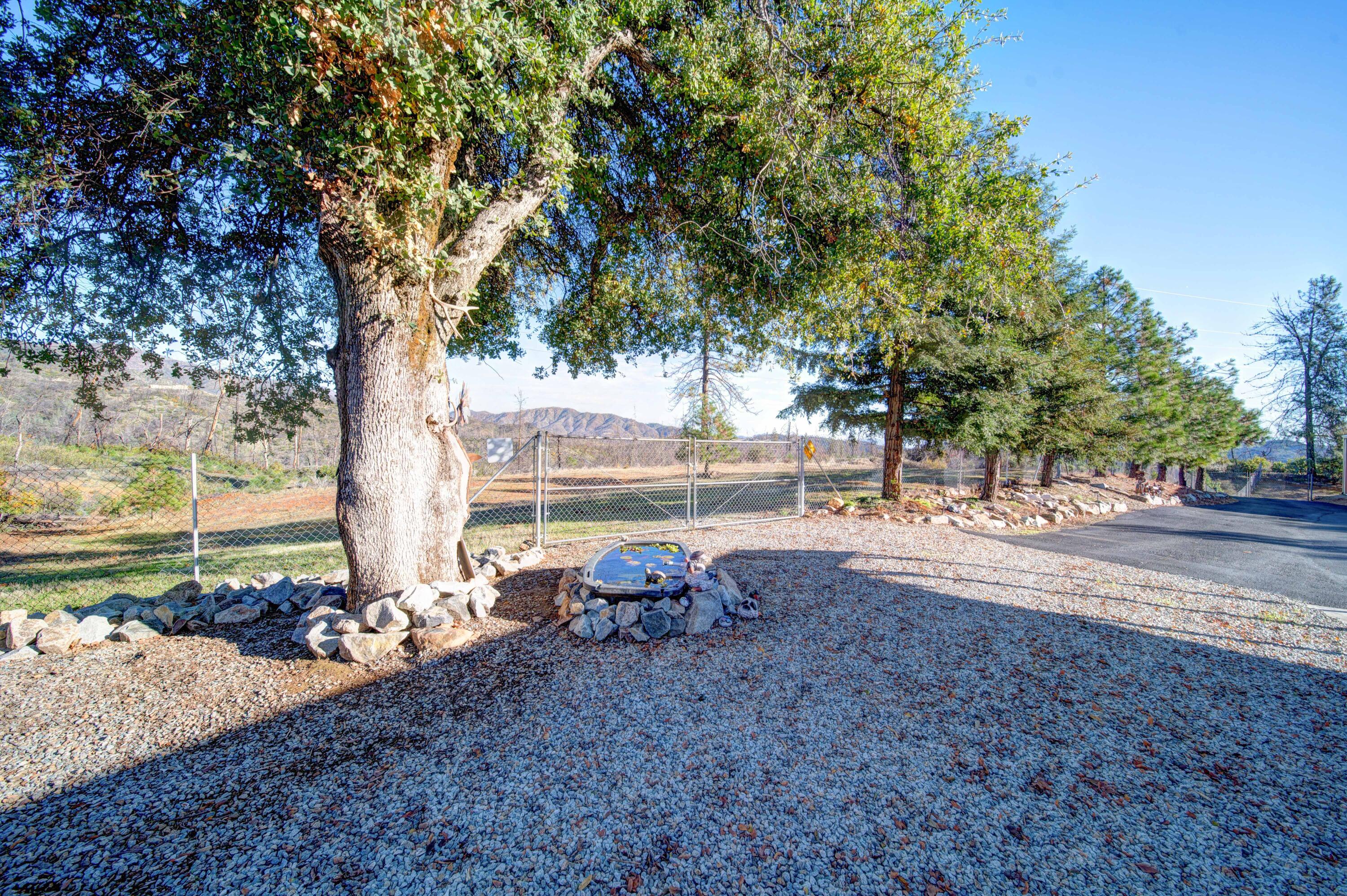 14944 Tollhouse Road Shasta, CA 96087 - Photo 28 of 61 Side Yard