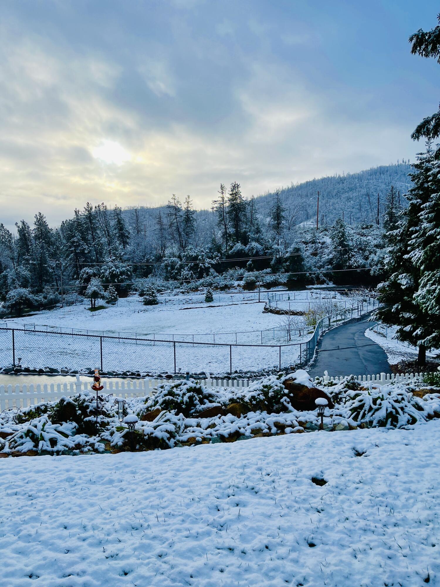 14944 Tollhouse Road Shasta, CA 96087 - Photo 59 of 61 Snow 2022