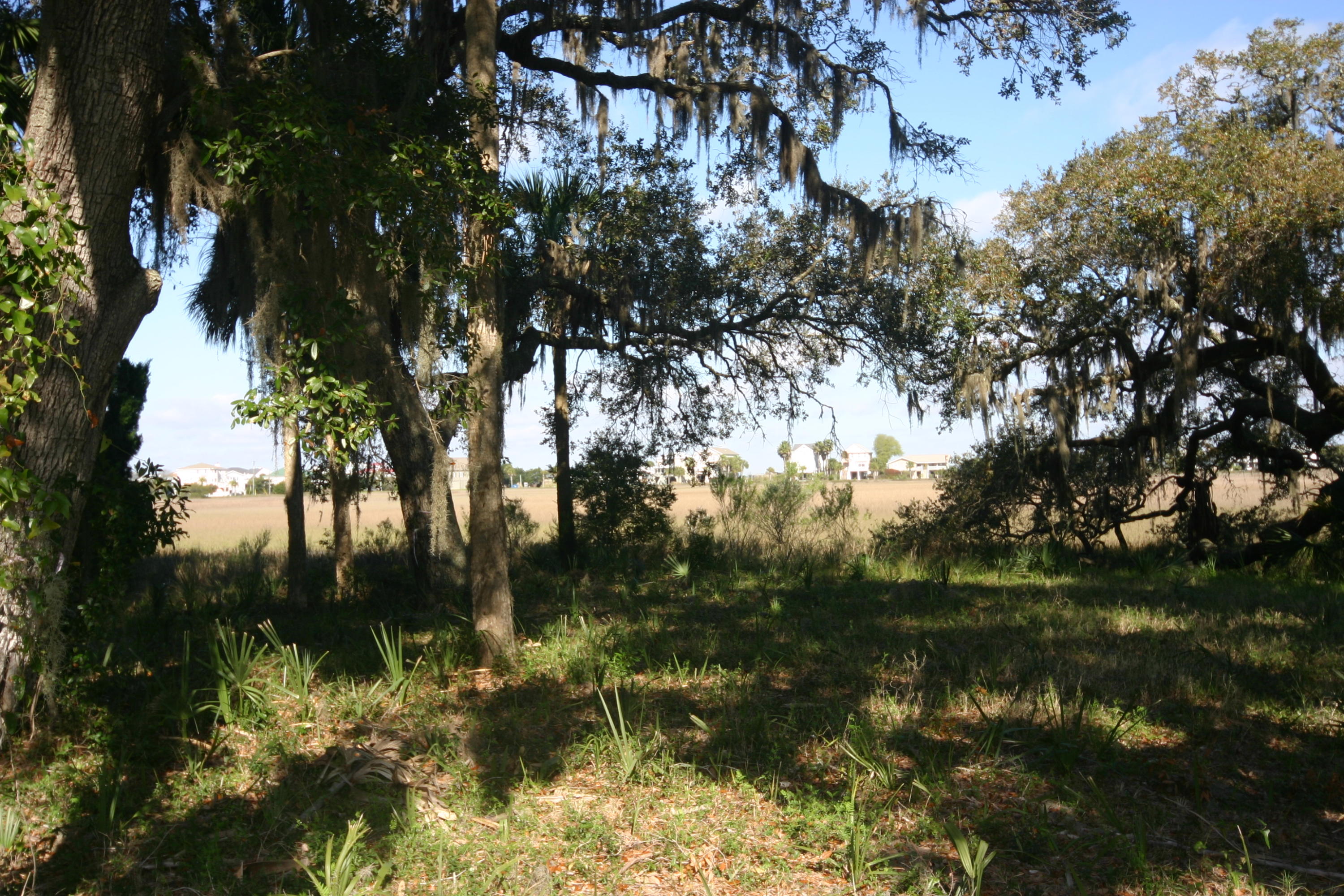 1401 Jungle Road Edisto Beach, SC 29438 - Photo 1 of 10 Marsh View
