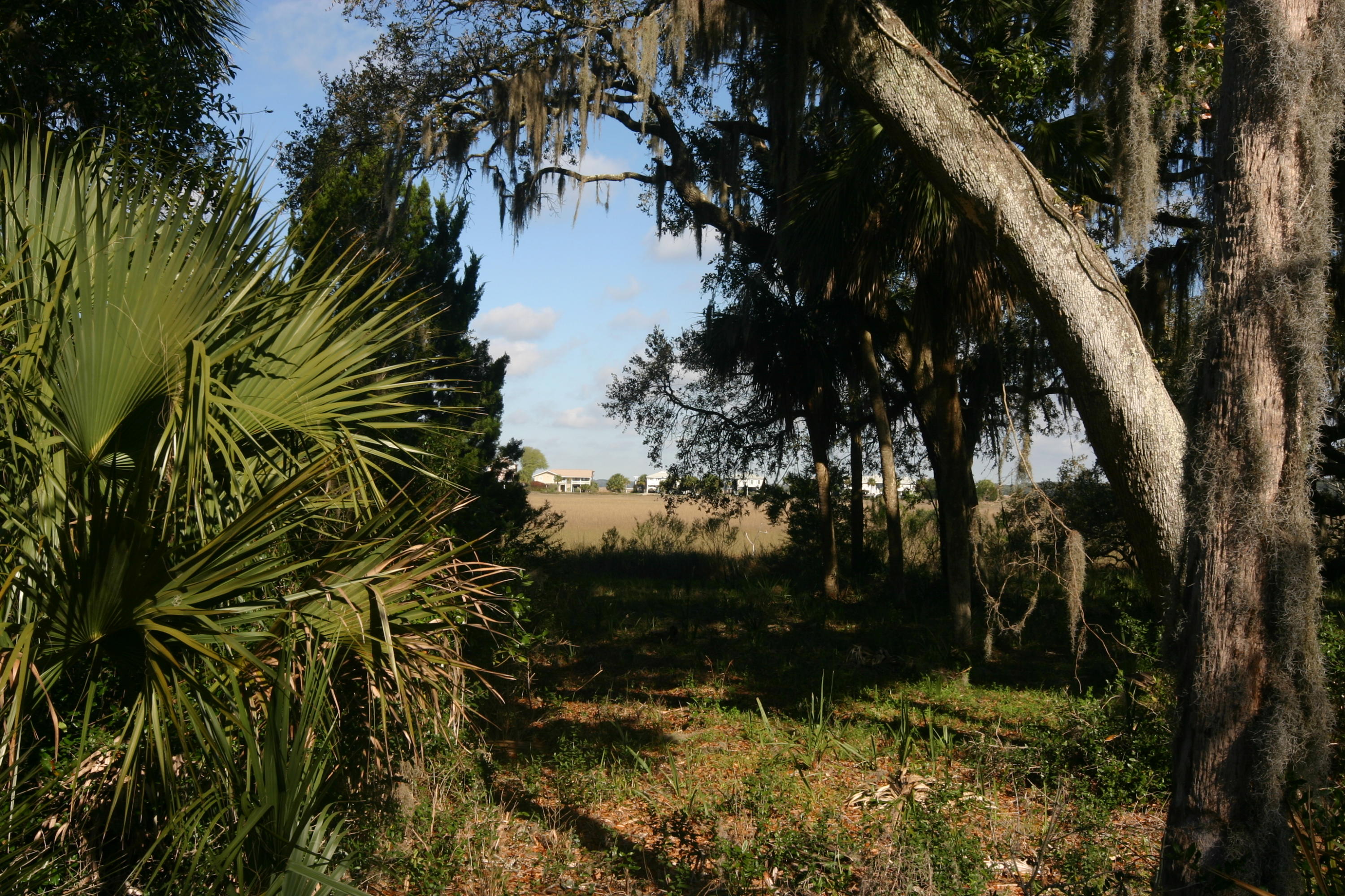 1401 Jungle Road Edisto Beach, SC 29438 - Photo 5 of 10 1401 Jungle Road