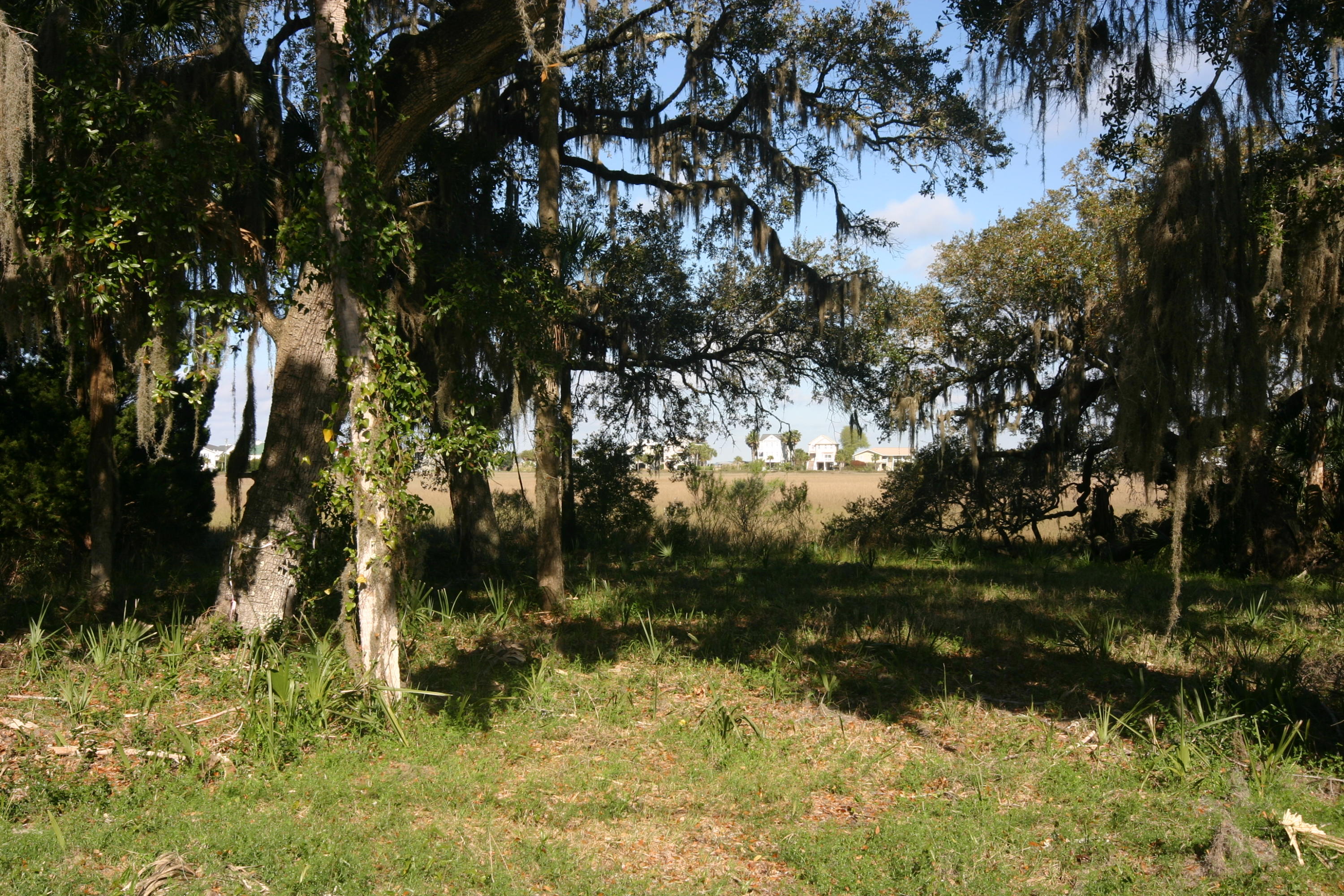1401 Jungle Road Edisto Beach, SC 29438 - Photo 9 of 10 1401 Jungle Road