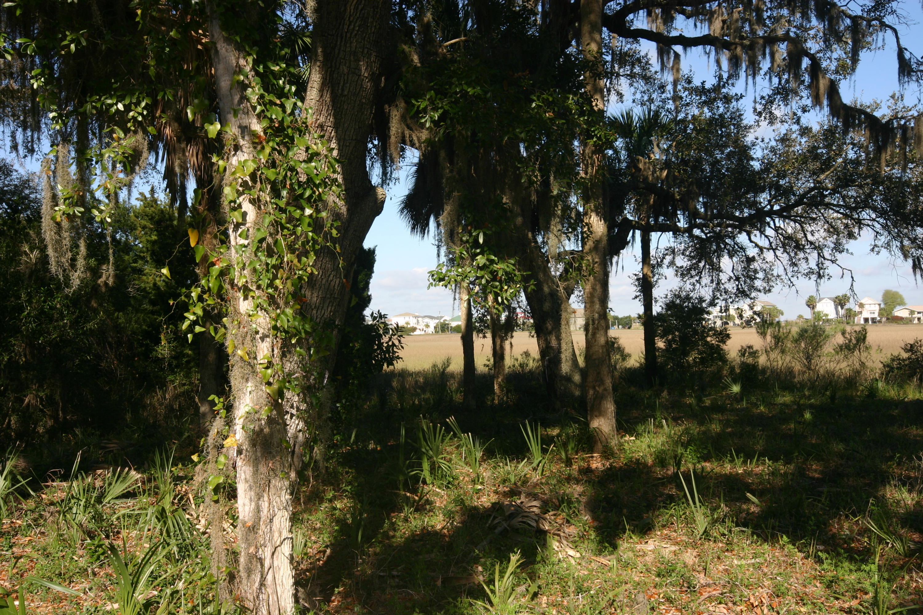 1401 Jungle Road Edisto Beach, SC 29438 - Photo 10 of 10 1401 Jungle Road